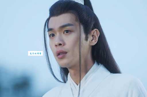 徐凤年会武功吗他的武功在剧中表现如何