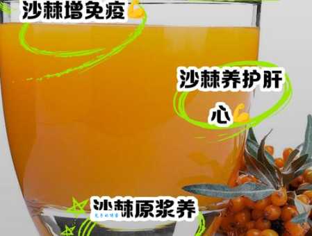 沙棘原浆的十大功效是什么 揭秘它的神奇保健作用