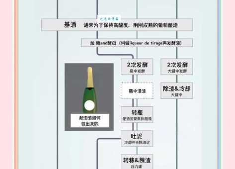 自酿葡萄酒的方法步骤图解 跟着做一次就能成功
