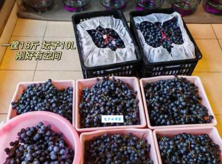 自酿葡萄酒的方法步骤图解 跟着做一次就能成功