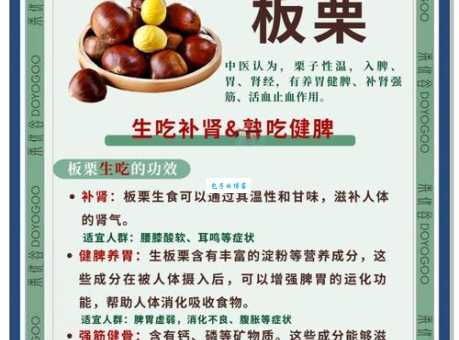 板栗的营养价值有多高 这些好处你知道吗