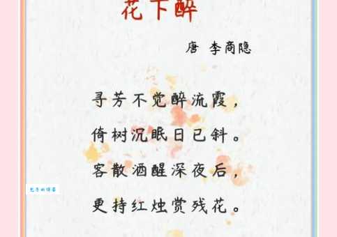 花中君子下一句是什么 完整诗句解析与出处介绍