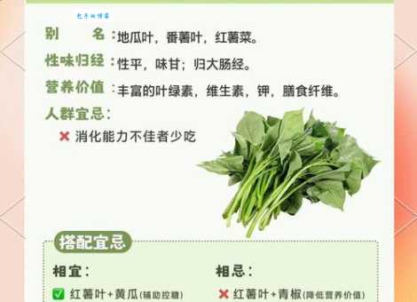 红薯叶的危害真相长期食用会有风险