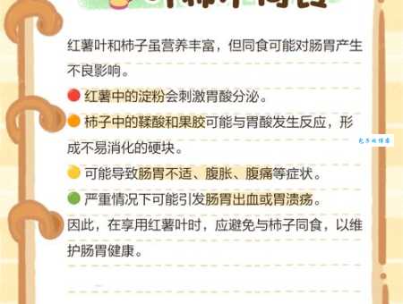 红薯叶的危害真相长期食用会有风险