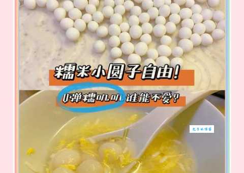 浮圆子是什么意思教你轻松在家制作