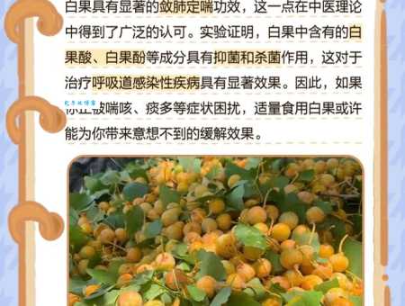 吃白果有什么好处 常吃白果对身体有这些帮助