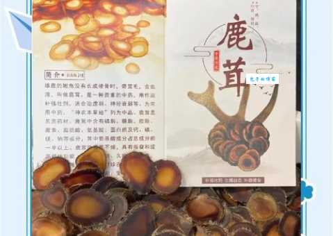 鹿茸蜡片怎么吃效果好 这些注意事项要知道