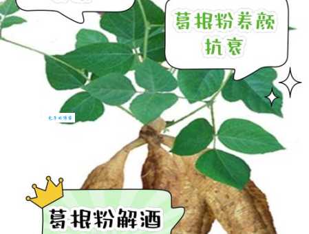 葛根的功效与作用及食用方法 葛根怎么吃效果最好