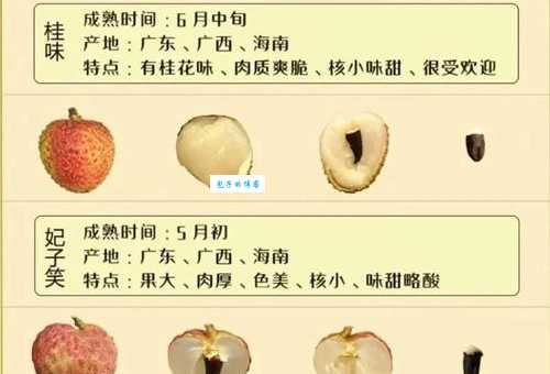 荔枝是几月份的水果 告诉你最佳品尝时间
