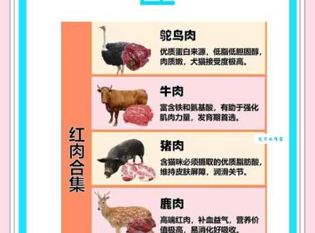 白肉是指什么肉 为什么说它更健康