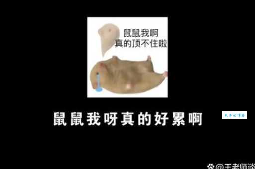 老鼠人是什么意思啊年轻人常用的自嘲梗解读