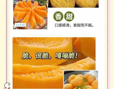 哈密瓜名字的由来原来和这个地方有关