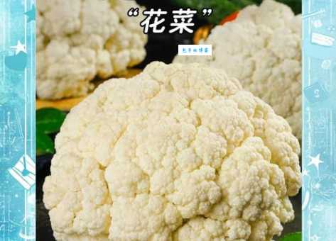 花椰菜吃的是什么部位 别再浪费这些美味部分了
