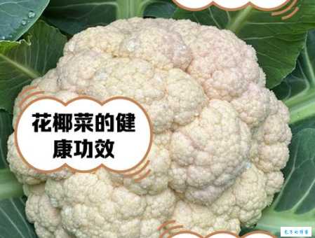 花椰菜吃的是什么部位 别再浪费这些美味部分了