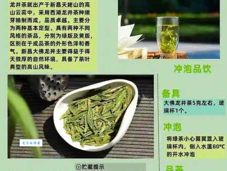 龙井茶的功效与作用每天一杯好处多多