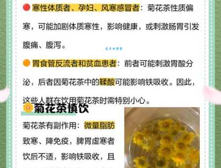 菊花茶的功效与禁忌 哪些人不能喝菊花茶