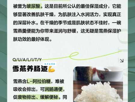 雪燕的作用与功效有哪些 女性必知的滋补美容秘方