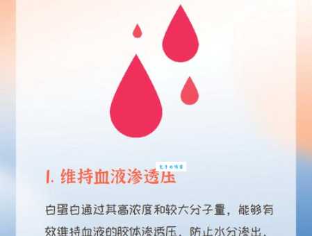 白蛋白的功效与作用大揭秘 哪些人需要补充