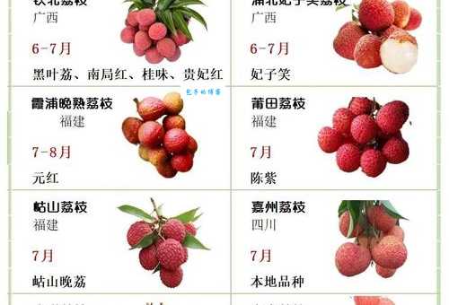 荔枝属于寒性还是热性中医告诉你正确答案
