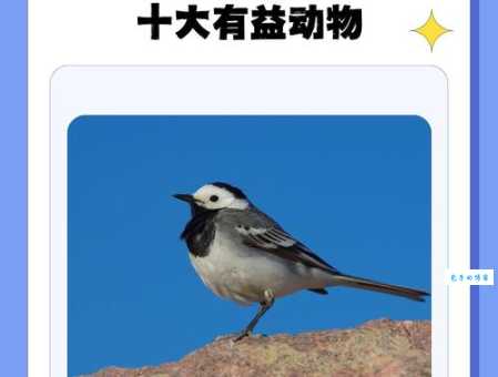益鸟和益虫有哪些这些生物能帮你除害虫