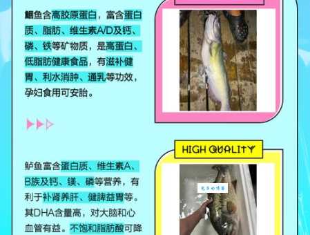 鮰鱼是什么档次的鱼 鮰鱼和鲈鱼哪个更值得买