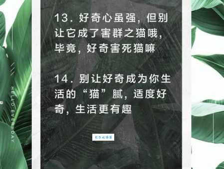 好奇害死猫什么意思 生活中哪些事不能太好奇