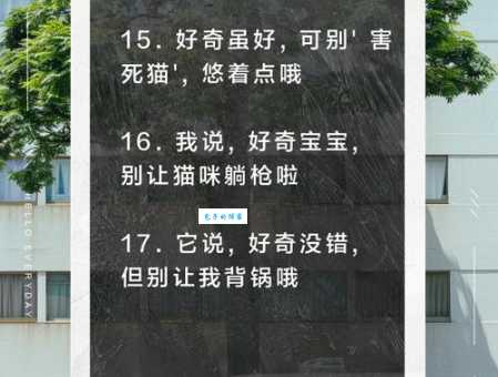 好奇害死猫什么意思 生活中哪些事不能太好奇