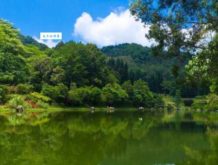 深圳仙湖植物园四季美景 什么时候去拍照最好看