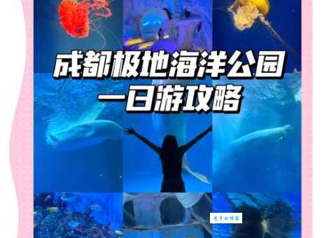 成都极地海洋世界门票开放时间及游玩指南