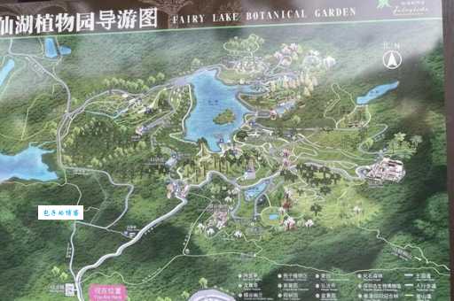 深圳仙湖植物园门票团购优惠和交通路线