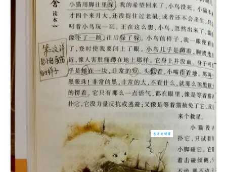 麻雀多少集原著小说和电视剧有什么区别