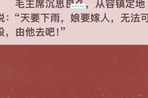 娘要嫁人剧情介绍解读家庭与爱情的选择