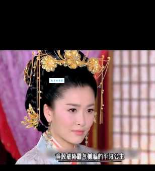 电视剧卫子夫大结局是什么卫子夫最后和谁在一起了