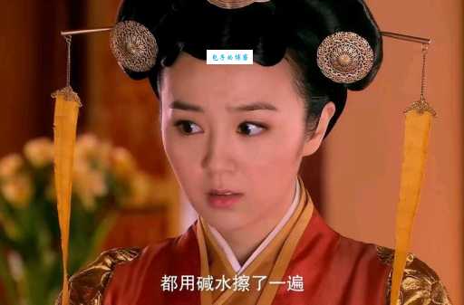 陆贞传奇陆贞身世之谜 历史上真实存在吗