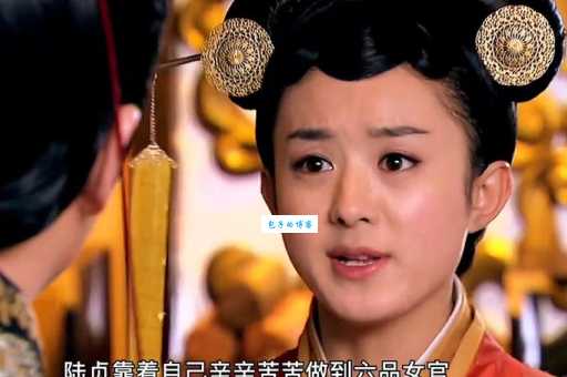 陆贞传奇陆贞身世之谜 历史上真实存在吗