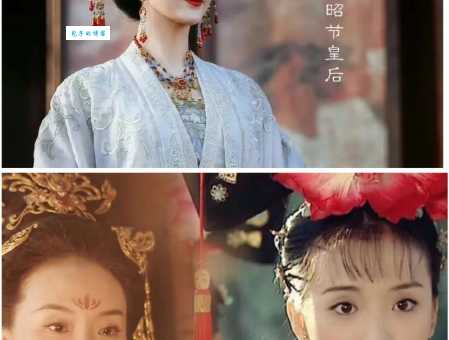 电视剧如意剧情介绍 如意这部剧主要讲什么故事
