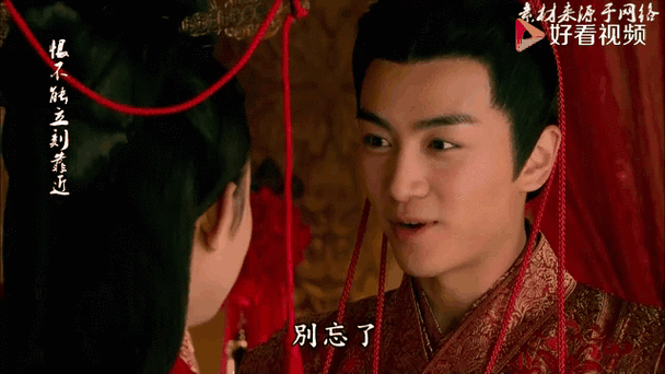 陆贞传奇大结局剧情介绍 高湛陆贞最后在一起了吗