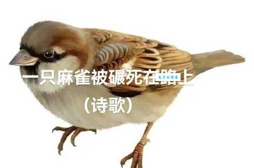 麻雀结局深度剖析主角命运为何如此