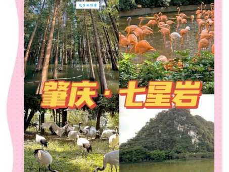 肇庆七星岩门票怎么买 网上购票攻略分享