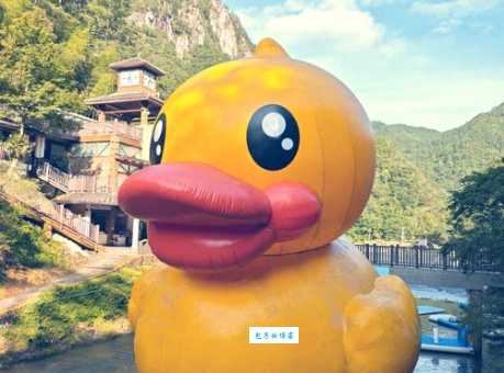 白水洋门票多少钱一张 最新价格及优惠信息