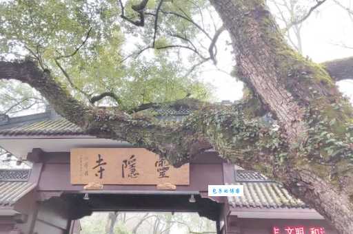 周末上海到杭州一日游 亲子家庭必玩景点指南