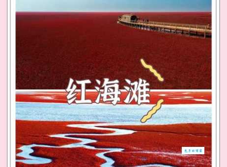 红海滩旅游攻略必看 带你玩转最美海岸线