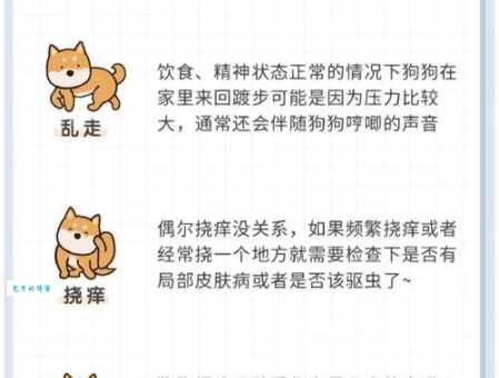 花丹犬虎皮丹犬区别大揭秘新手必看指南