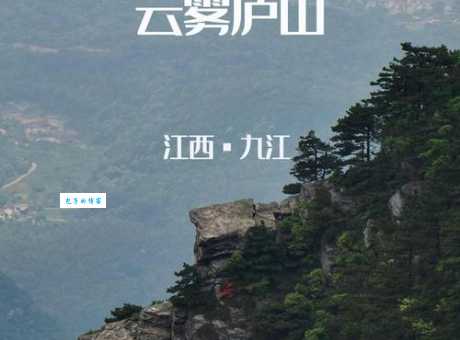庐山云雾的四种姿态解析 哪种最美看完就知道