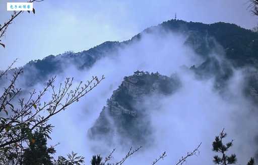 庐山云雾的四种姿态解析 哪种最美看完就知道
