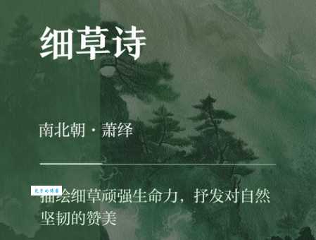 芊芊细草的意思与象征古人为何喜欢它