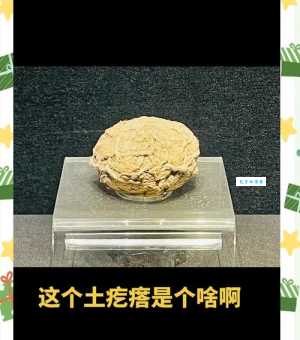 古代足球起源于何时 探寻足球的前世今生