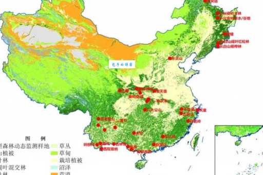 森林资源主要分布在我国哪些区域看完这篇就懂