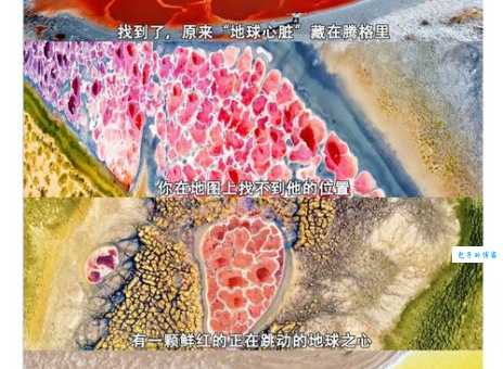 沙漠怪圈是怎么形成的 揭秘大自然的神奇杰作