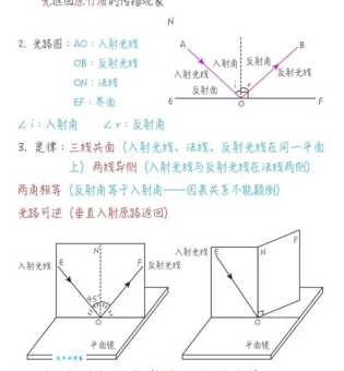 光的反射定律实验中纸板的作用是什么